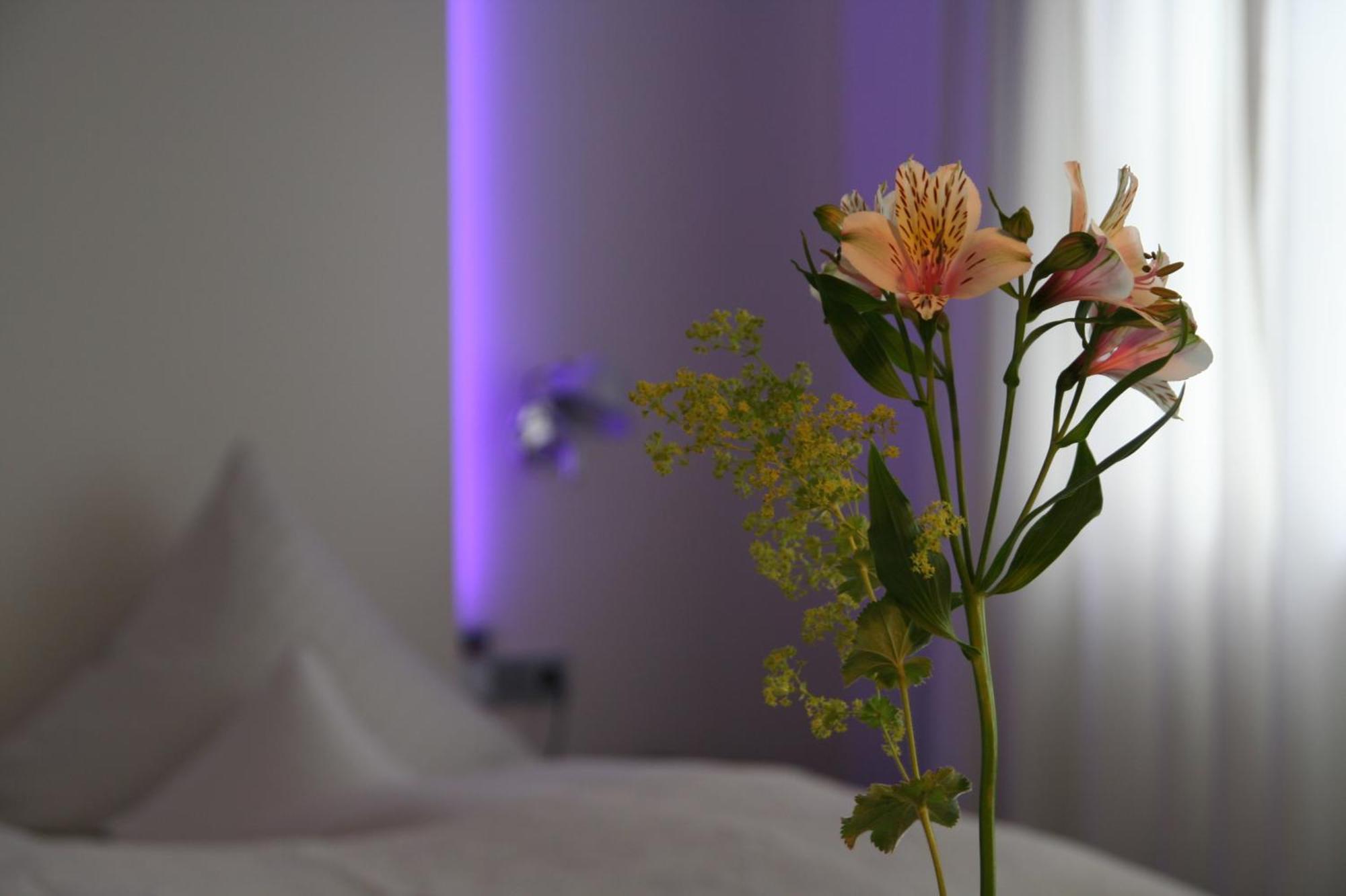 Hotel Am Main Veitshochheim Bilik gambar